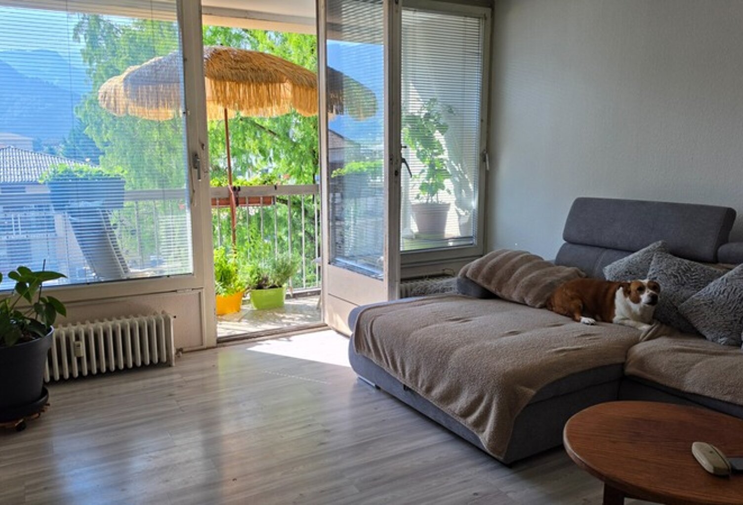 HAUTE-SAVOIE (74300) A VENDRE A CLUSES APPARTEMENT T3 IDEAL INVESTISSEUR — photo 1