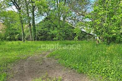 Terrain  310000 €