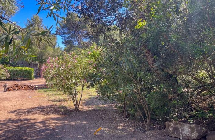Terrain constructible 525 m2 Abbartello- Olmeto plage (20) — photo 3