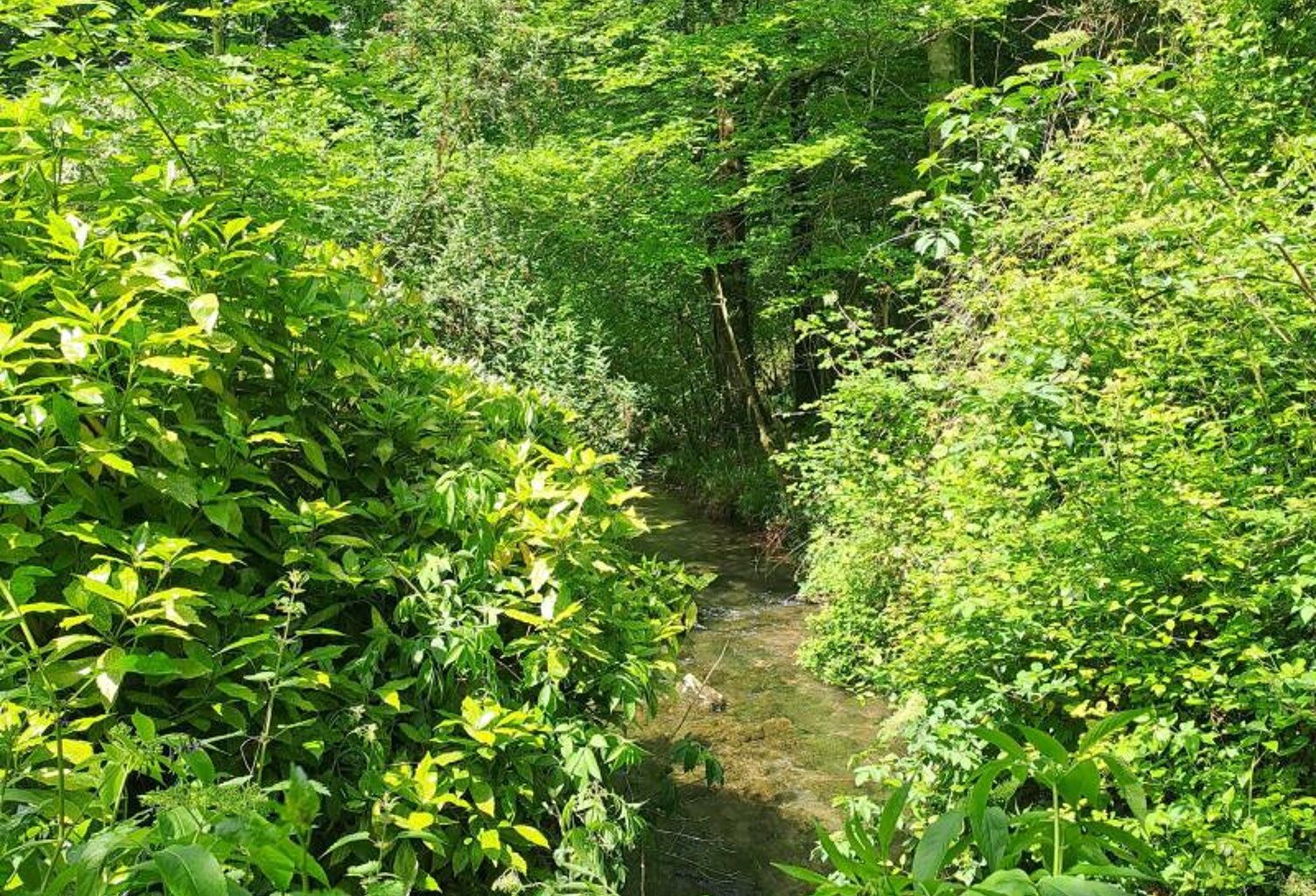 Ancien moulin au cœur des Pyrénées — photo 1