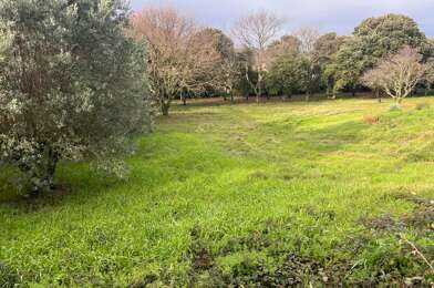 Terrain  210000 €