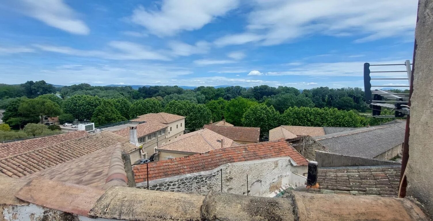 Charmante maison de ville avec toit-terrasse et vue Rhône — photo 1