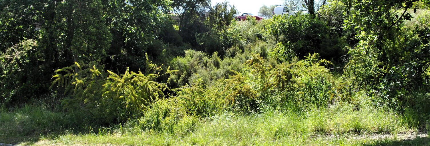 Terrain  802 m² à vendre à Montauroux (83440)