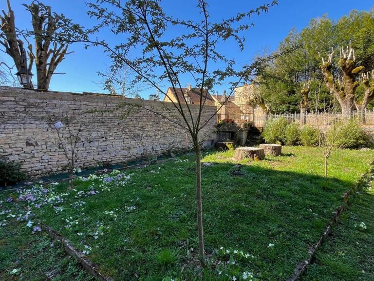 Saint-Gengoux-le-National  Maison de ville avec jardin et beau potentiel ! — photo 1