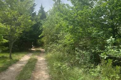 Terrain  728000 €