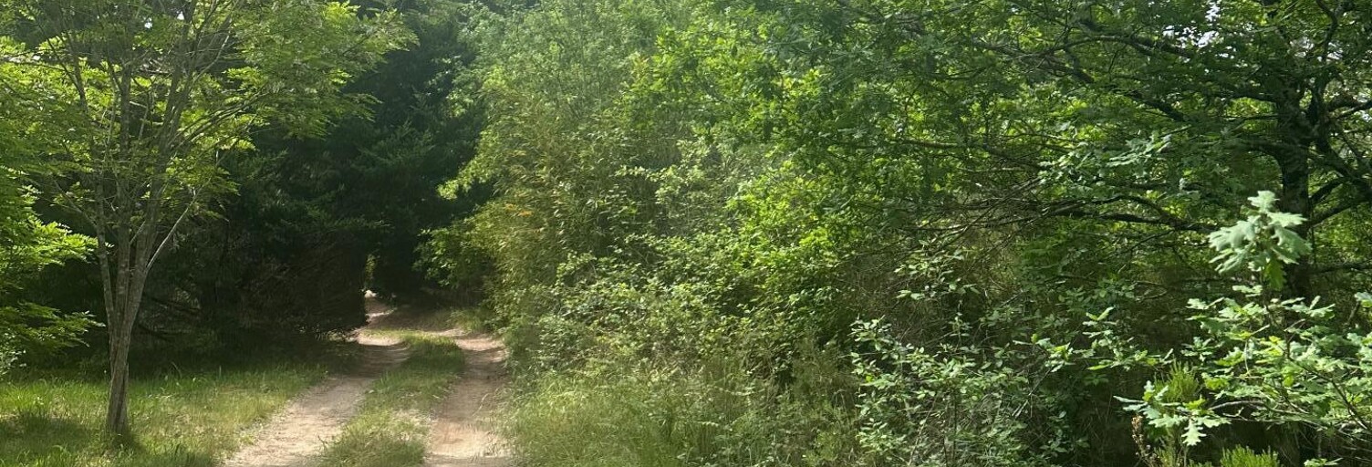 Terrain  30000 m² à vendre à Gujan-Mestras (33470)