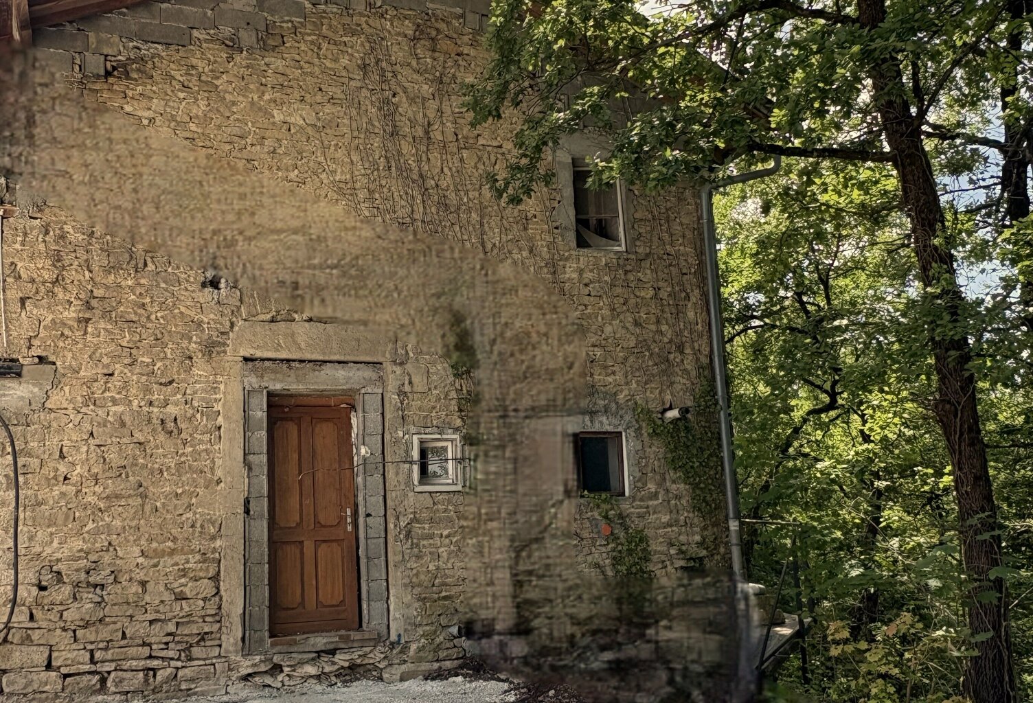 Vente maison 9 pièces 188 m² Saint-Alban-de-Roche (38080) — photo 1