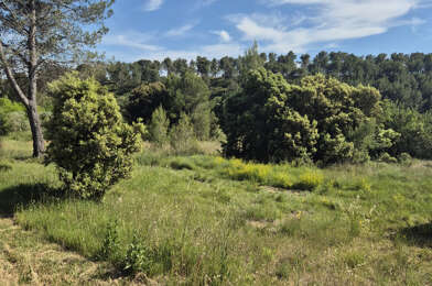 Terrain  240000 €