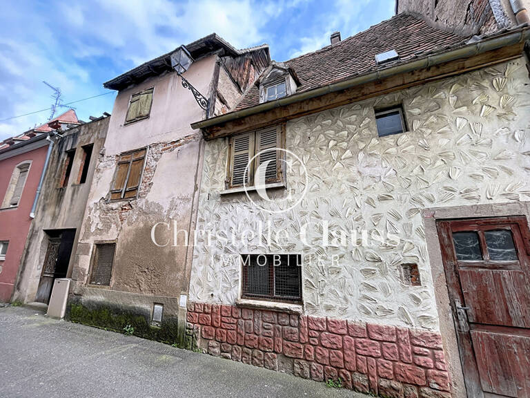Ensemble immobilier Sélestat 148m² — photo 1