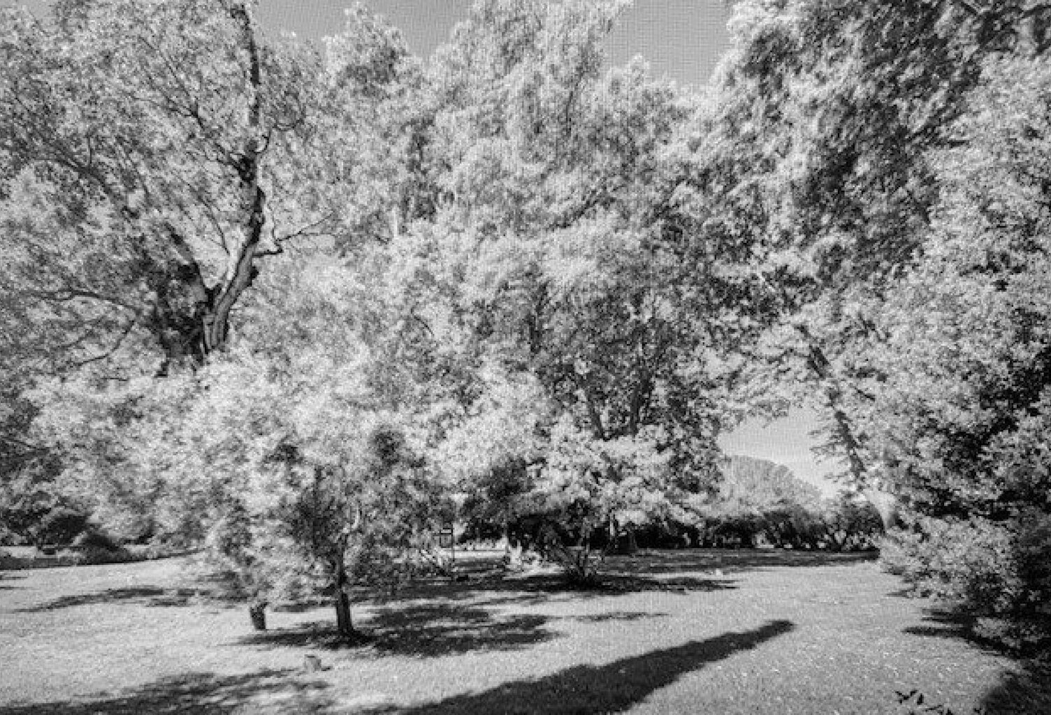 Magnifique propriété région Arles — photo 1