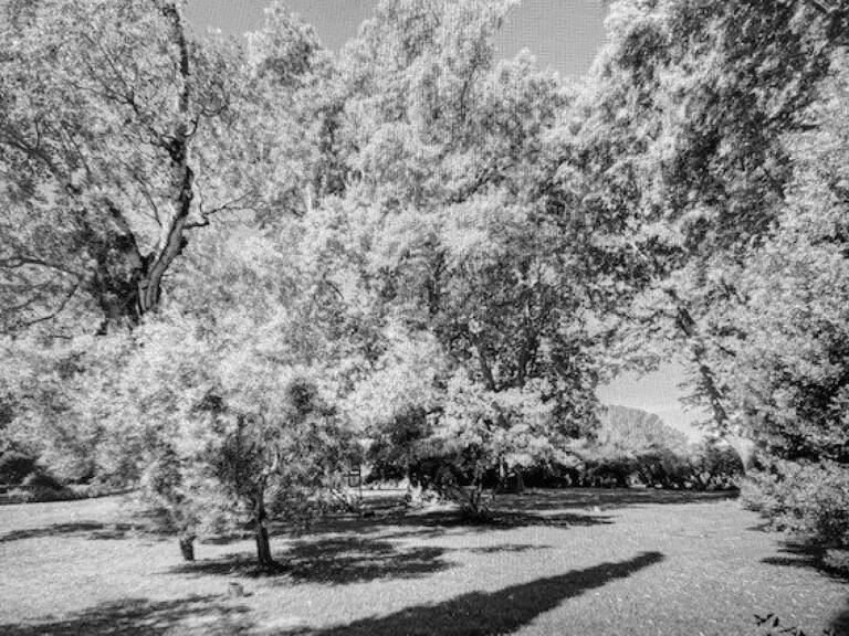 Magnifique propriété région Arles — photo 1