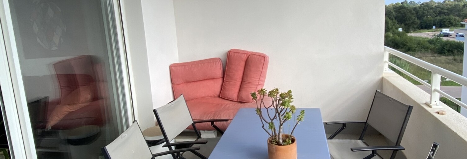 Appartement 2 Pièces 44 m² à vendre à Zonza (20144)