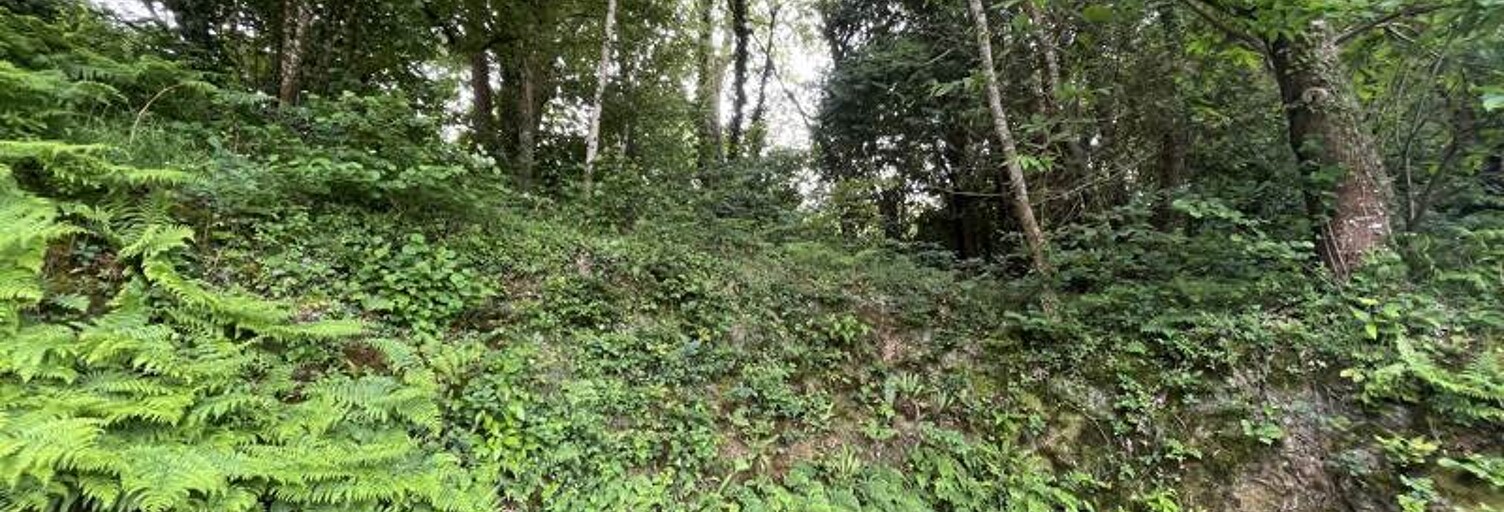 Terrain  302 m² à vendre à Landerneau (29800)