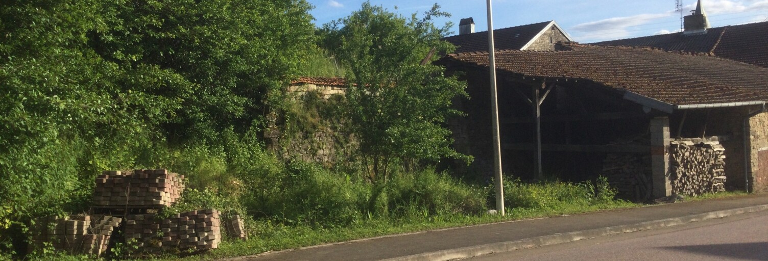 Photo N° 2
