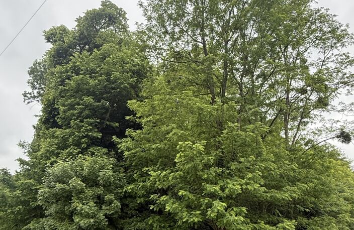 Vente Terrain 35 024 m&sup2; — photo 2
