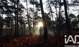 Terrain  435 m² à vendre à Sanguinet (40460)