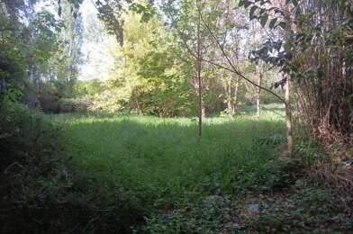 Terrain  40000 €