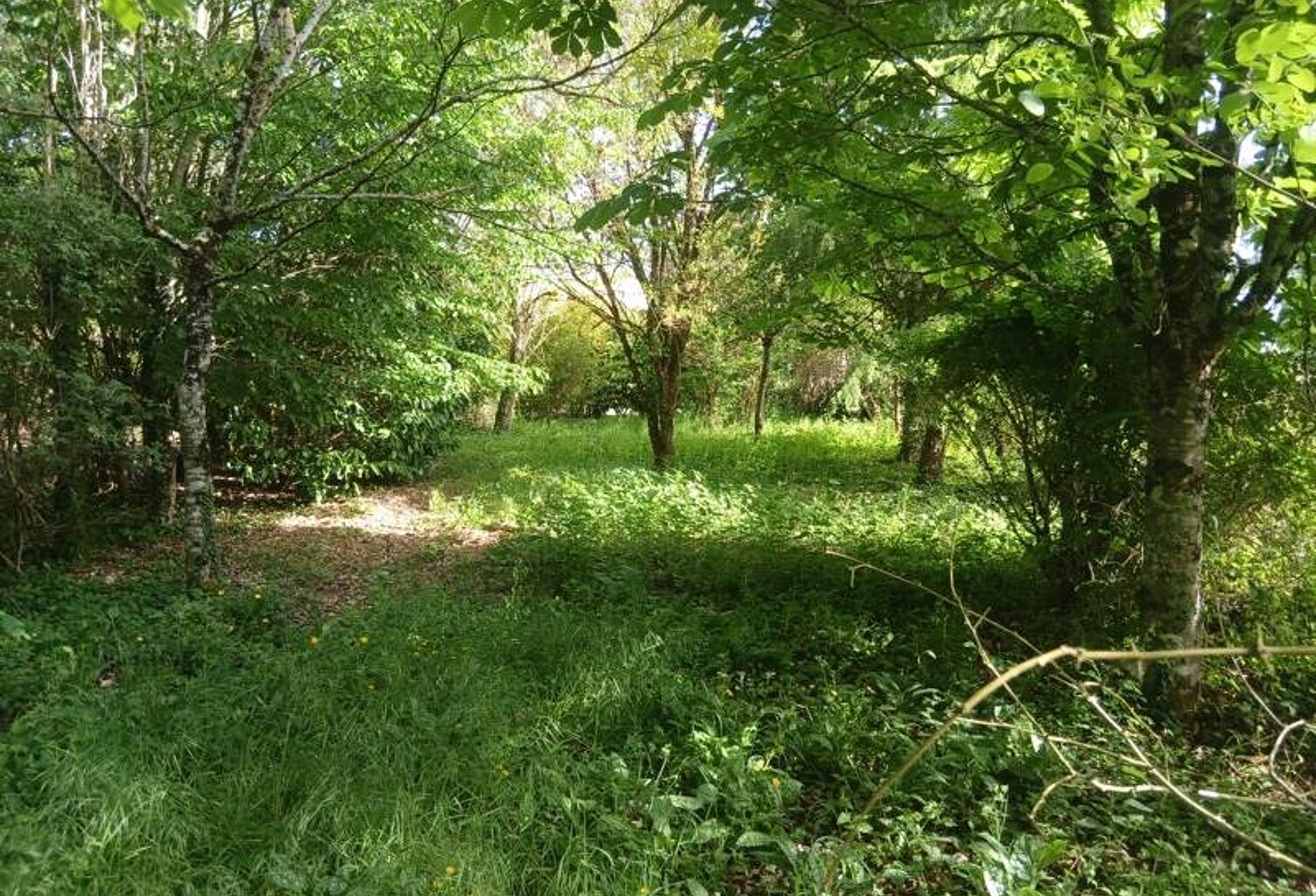 Vente terrain  3135 m² Le Vigan-en-Quercy (46300) — photo 1