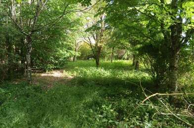 Terrain  40000 €