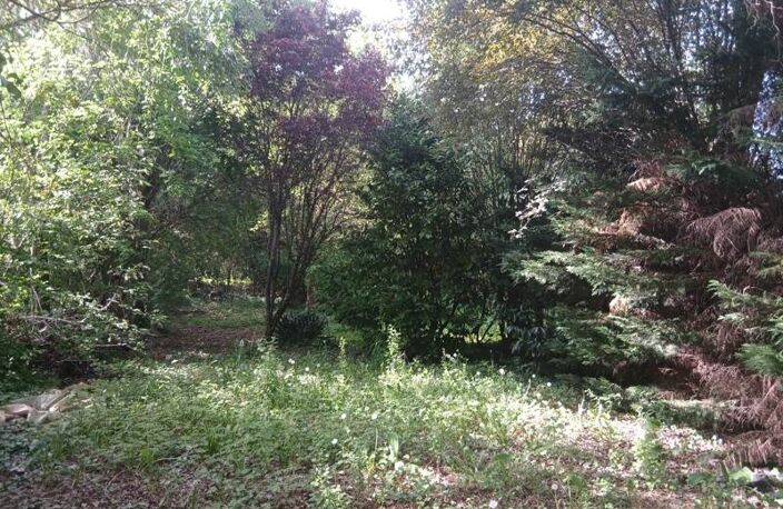 Vente terrain  3135 m² Le Vigan-en-Quercy (46300) — photo 4