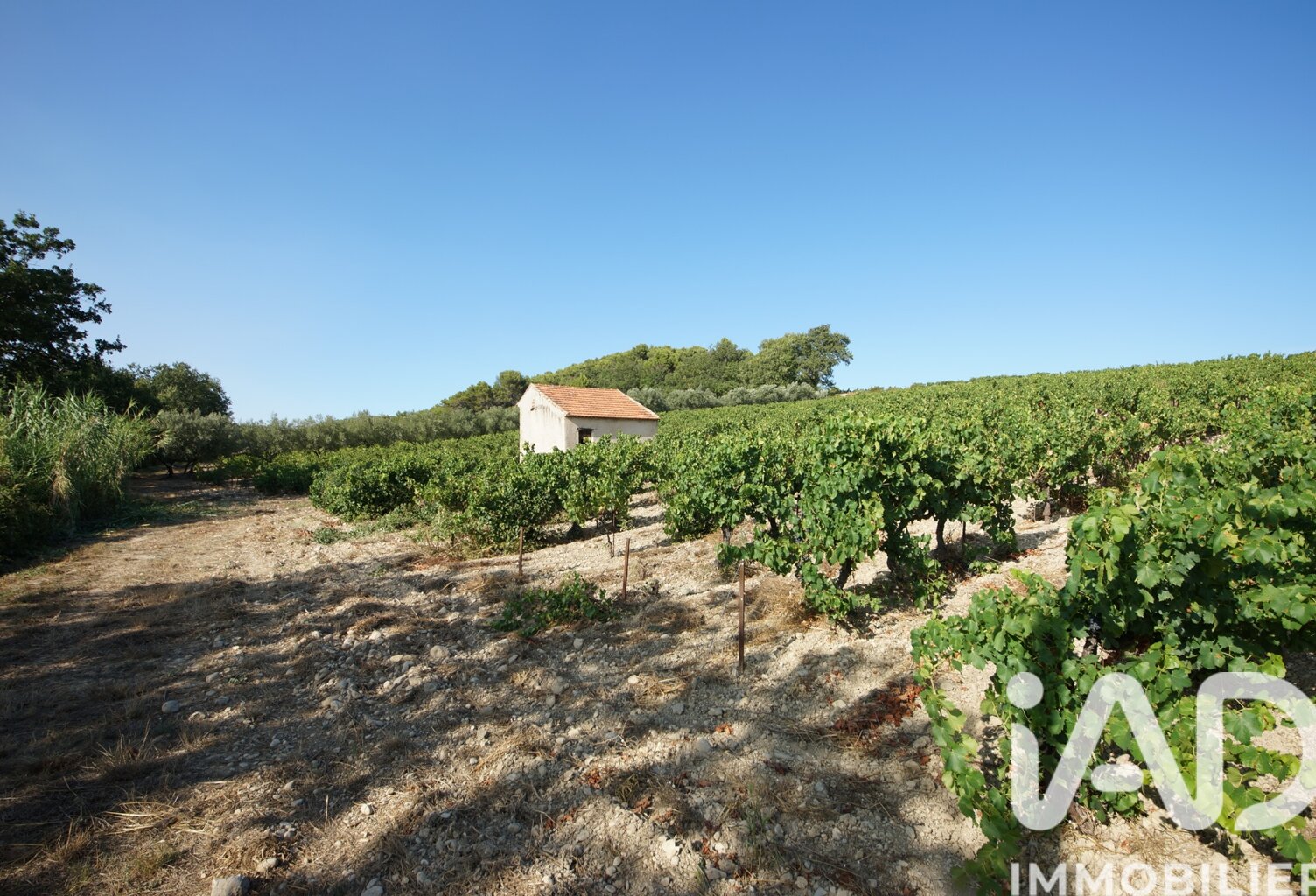 Vente Terrain 7 360 m&sup2; — photo 1