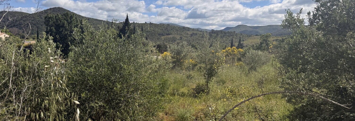Terrain  910 m² à vendre à Tuchan (11350)