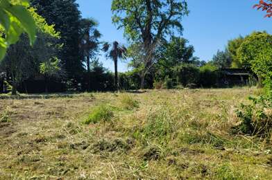 Terrain  54500 €
