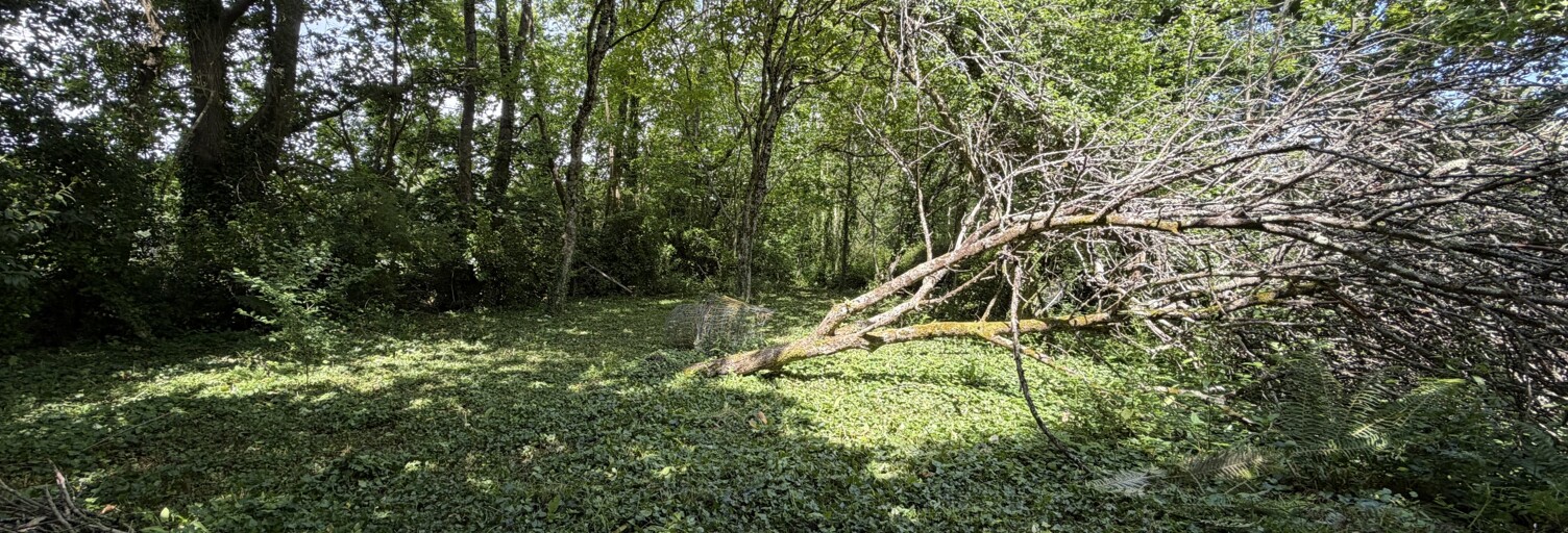Terrain  839 m² à vendre à Clohars-Carnoët (29360)