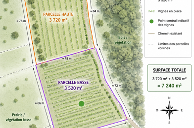 Terrain  20000 €