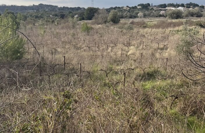 Vente Terrain 7 240 m&sup2; — photo 3