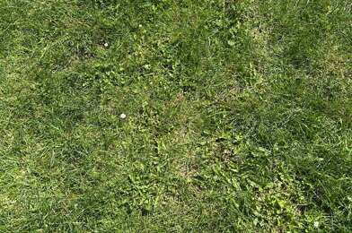 Terrain  77000 €