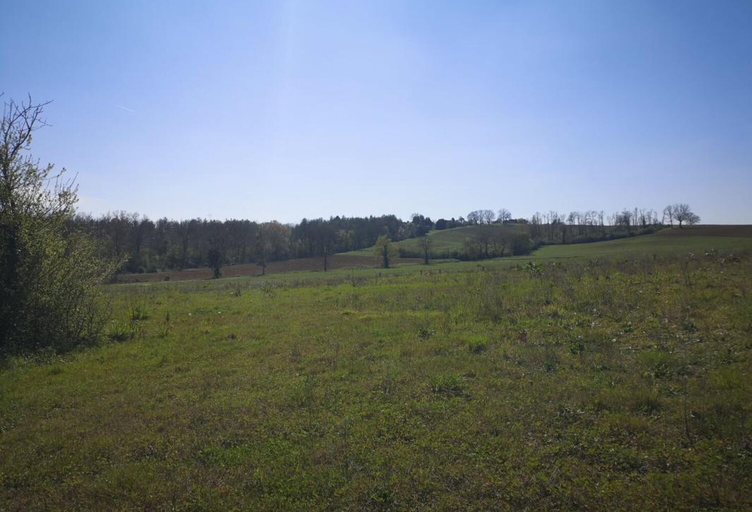 À vendre, Gers : terrain agricole de 2,6 ha à vendre en périphérie de Marciac — photo 1