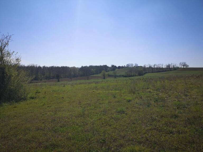 À vendre, Gers : terrain agricole de 2,6 ha à vendre en périphérie de Marciac — photo 1