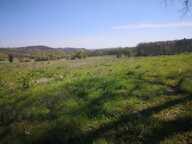 À vendre, Gers : terrain agricole de 2,6 ha à vendre en périphérie de Marciac — photo 2