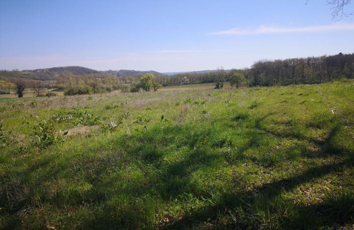 À vendre, Gers : terrain agricole de 2,6 ha à vendre en périphérie de Marciac — photo 2