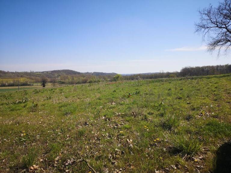 À vendre, Gers : terrain agricole de 2,6 ha à vendre en périphérie de Marciac — photo 1