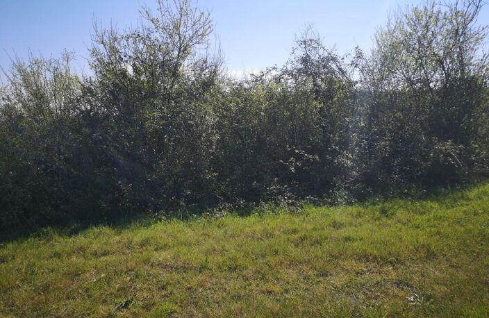 À vendre, Gers : terrain agricole de 2,6 ha à vendre en périphérie de Marciac — photo 4