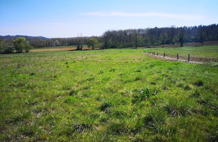 À vendre, Gers : terrain agricole de 2,6 ha à vendre en périphérie de Marciac — photo 5