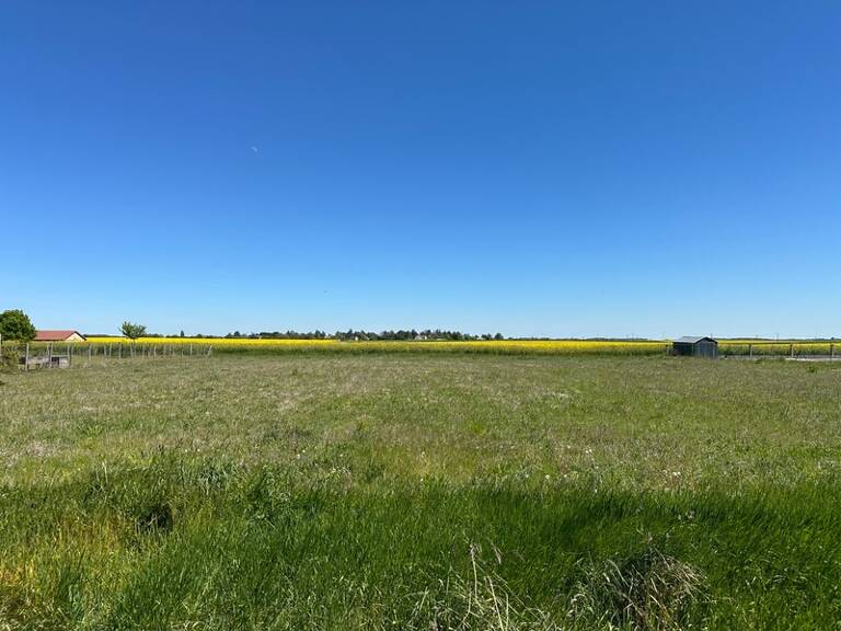POLIGNY (77) Terrain à bâtir de 1 548 m2 - Façade de 24m — photo 1