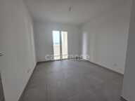 Appartement à vendre 2 pièces - grande terrasse LUCCIANA (20) — photo 4