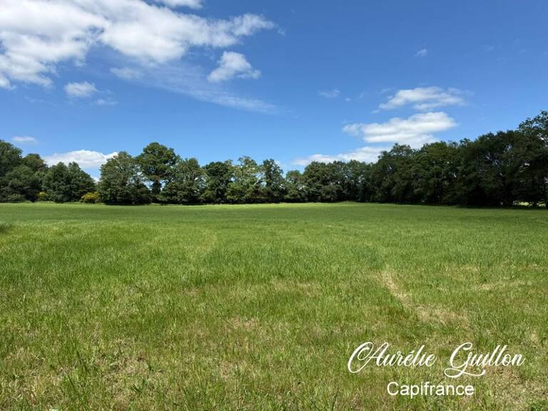 CAMPÉNÉAC – OPPORTUNITÉ FONCIÈRE À FORT POTENTIEL D’AMÉNAGEMENT — photo 1