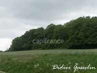 Terrain à vendre  BRUNELLES (28) — photo 4