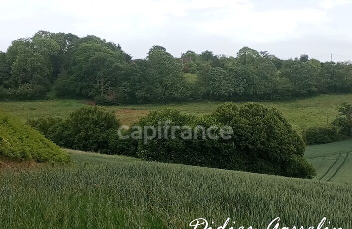 Terrain à vendre  BRUNELLES (28) — photo 5