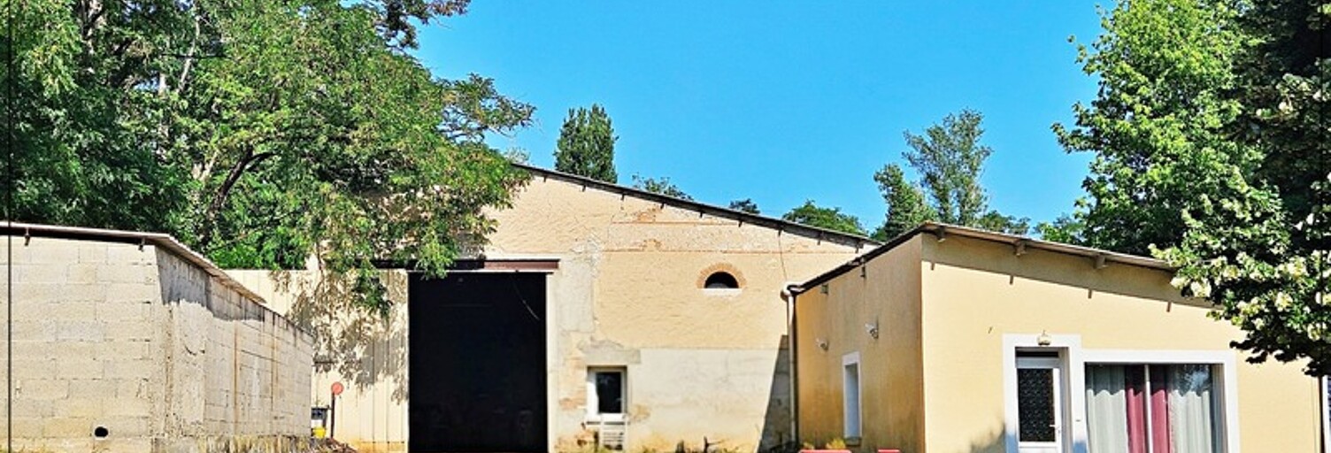 Commerce 2 Pièces 257 m² à vendre à Layrac (47390)