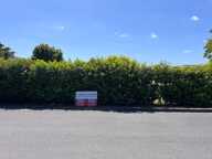 Titre : Terrain constructible de 804 m² — Saint-Jean-le-Blanc (45) — photo 2