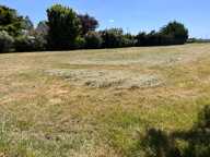 Titre : Terrain constructible de 804 m² — Saint-Jean-le-Blanc (45) — photo 3