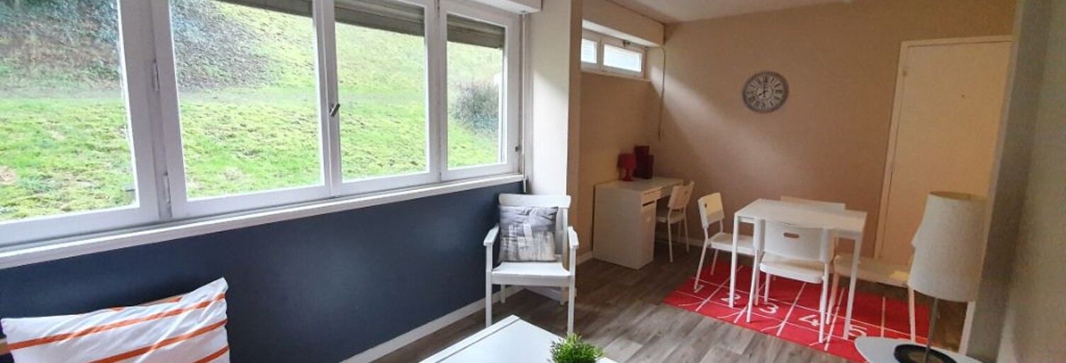 Appartement 1 Pièce 29 m² à vendre à Nancy (54000)