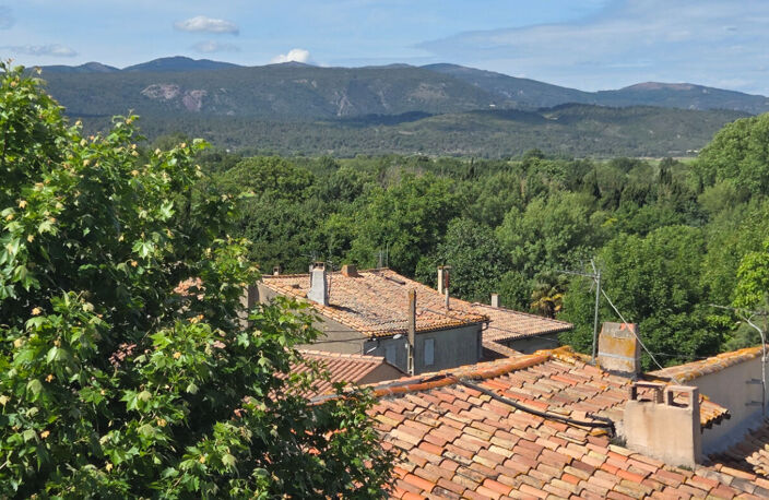 PEYRIAC MINERVOIS MAISON  DE CARACTERE 6 PIECES — photo 2