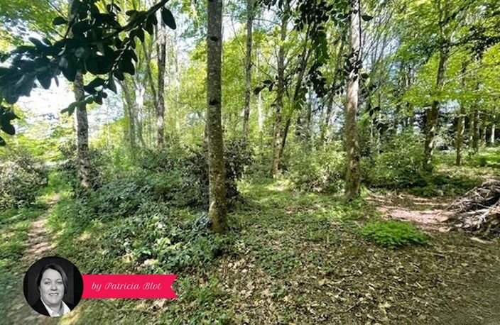 Coup de coeur assuré - Maison familiale 149 m² avec grand terrain arboré — photo 3