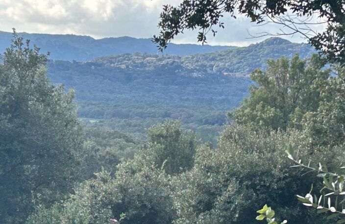 Porto Vecchio - Corse du sud - Bergerie 4 pièce(s) 80 m² — photo 2
